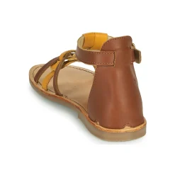 Citrouille et Compagnie - GITANOLO