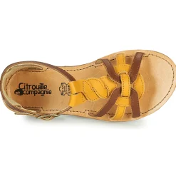 Citrouille et Compagnie - GITANOLO