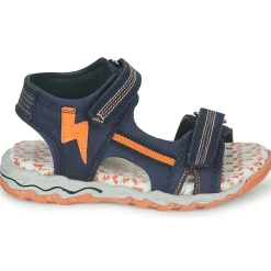 Citrouille et Compagnie - WAYO Marine Outlet