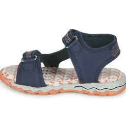 Citrouille et Compagnie - WAYO Marine Outlet