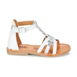 Citrouille et Compagnie - GITANOLO