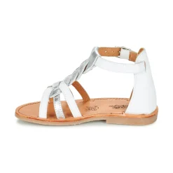 Citrouille et Compagnie - GITANOLO