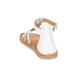 Citrouille et Compagnie - GITANOLO