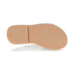 Citrouille et Compagnie - GITANOLO