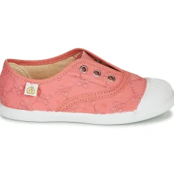 Citrouille et Compagnie - RIVIALELLE