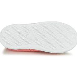 Citrouille et Compagnie - RIVIALELLE