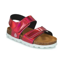 Citrouille et Compagnie - BELLI JOE Rosemétallisé Hot