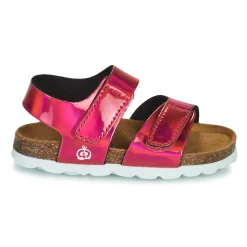 Citrouille et Compagnie - BELLI JOE Rosemétallisé Hot