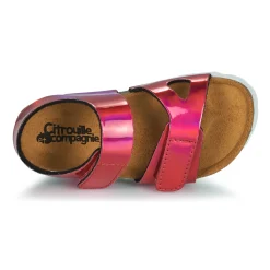 Citrouille et Compagnie - BELLI JOE Rosemétallisé Hot