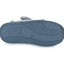 Citrouille et Compagnie - CORMORAN