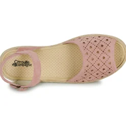 Citrouille et Compagnie - DEMINO