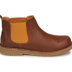 Citrouille et Compagnie - BONJOUR Cognac Discount