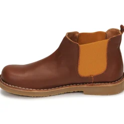 Citrouille et Compagnie - BONJOUR Cognac Discount