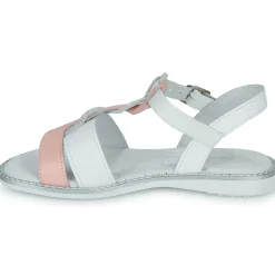 Citrouille et Compagnie - FILAPON