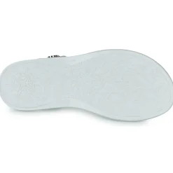 Citrouille et Compagnie - FILAPON