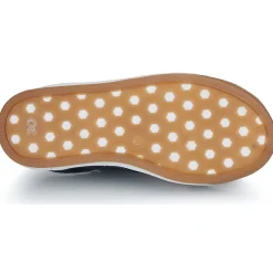 Citrouille et Compagnie - FITOU