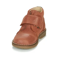 Citrouille et Compagnie - LAPUPI