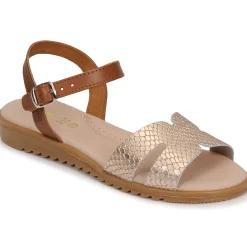 Hot Citrouille et Compagnie - POLPETTE Camel