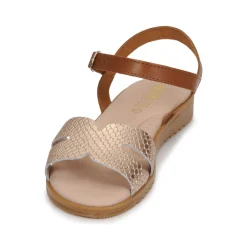 Hot Citrouille et Compagnie - POLPETTE Camel