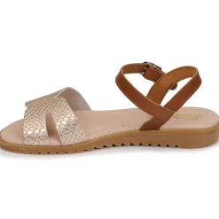 Hot Citrouille et Compagnie - POLPETTE Camel