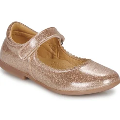 Citrouille et Compagnie - LOCOLA