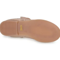 Citrouille et Compagnie - LOCOLA