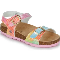 Citrouille et Compagnie - ARCENCIEL