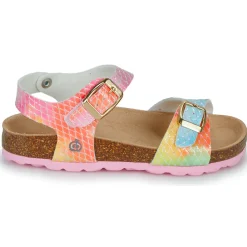 Citrouille et Compagnie - ARCENCIEL