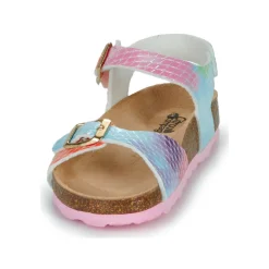 Citrouille et Compagnie - ARCENCIEL