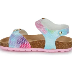 Citrouille et Compagnie - ARCENCIEL