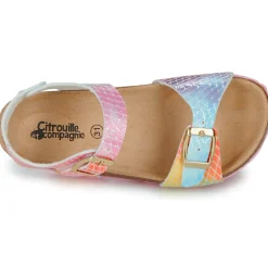 Citrouille et Compagnie - ARCENCIEL