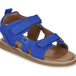 Citrouille et Compagnie - JOUPI