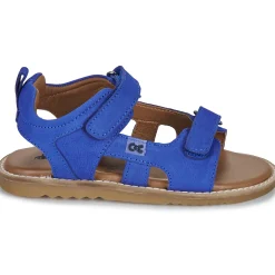 Citrouille et Compagnie - JOUPI