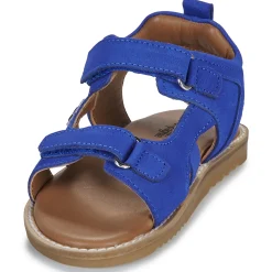 Citrouille et Compagnie - JOUPI