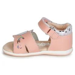 Citrouille et Compagnie - JAFALGA