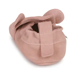 Citrouille et Compagnie - CARAMI Rose