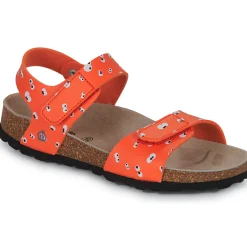 Citrouille et Compagnie - PISTAMI