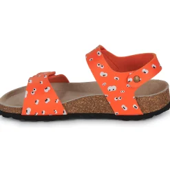 Citrouille et Compagnie - PISTAMI