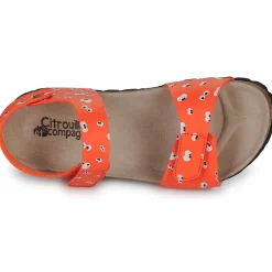 Citrouille et Compagnie - PISTAMI