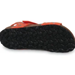 Citrouille et Compagnie - PISTAMI