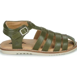 Citrouille et Compagnie - ASMILO