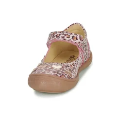 Citrouille et Compagnie - JALIPINE