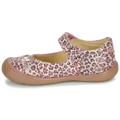 Citrouille et Compagnie - JALIPINE