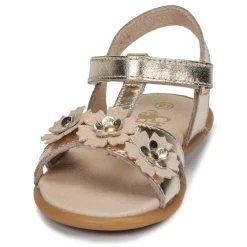 Hot Citrouille et Compagnie - MARELLE Argenté