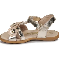 Hot Citrouille et Compagnie - MARELLE Argenté