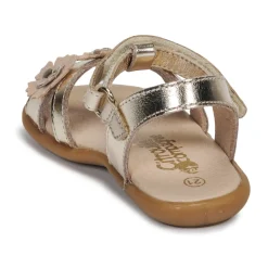 Hot Citrouille et Compagnie - MARELLE Argenté