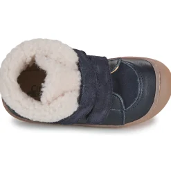 Citrouille et Compagnie - NEBULI