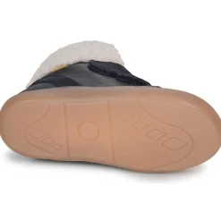 Citrouille et Compagnie - NEBULI