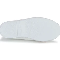 Citrouille et Compagnie - WOODEN