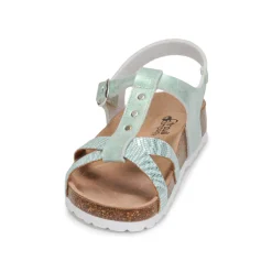 Citrouille et Compagnie - PAPOTI